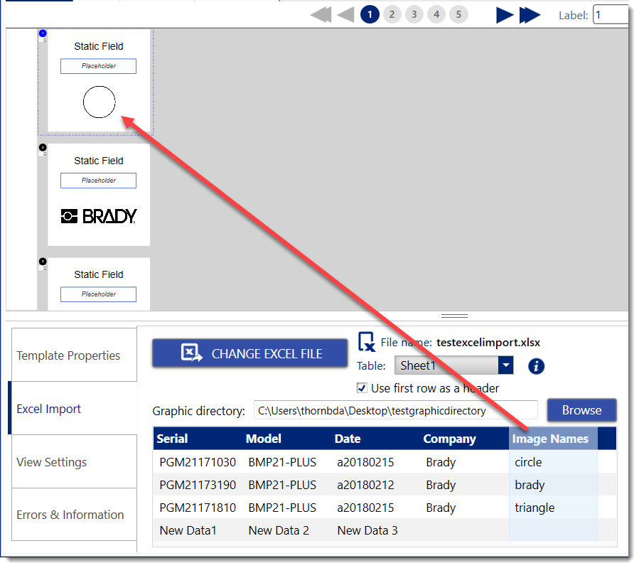 Drag the image import column to the graphic placeholder field