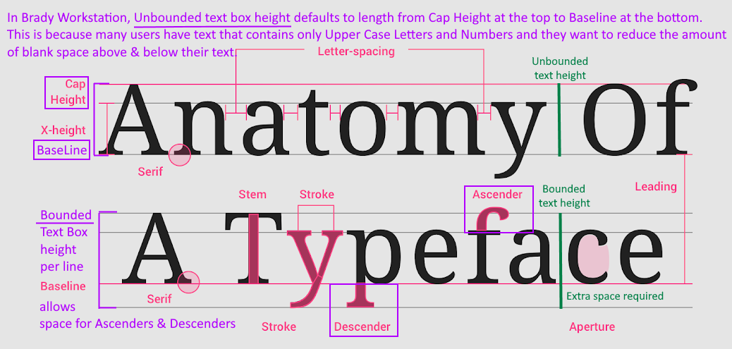 TypeFace.png