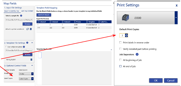 Label copies and print settings