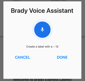 BradyVoice - create label 2_Resized.png